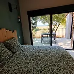 Les Tournesols En Pleine Nature * Hounoux